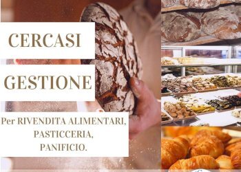 Foto 2 - Attività Commerciale Pisa - foto 2