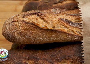 Foto 5 - Attività Commerciale Pisa - foto 5