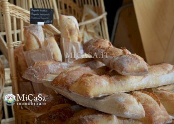 Foto 15 - Attività Commerciale Pisa - foto 15