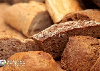 Foto 16 - Attività Commerciale Pisa - foto 16