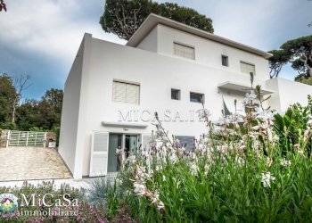 Foto 16 - Appartamento Via Dei Pioppi, Pisa - foto 16