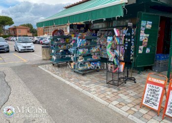 Foto 2 - Attività Commerciale viale del tirreno
 
339, Pisa - foto 2