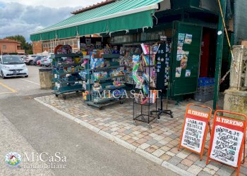 Foto 3 - Attività Commerciale viale del tirreno
 
339, Pisa - foto 3