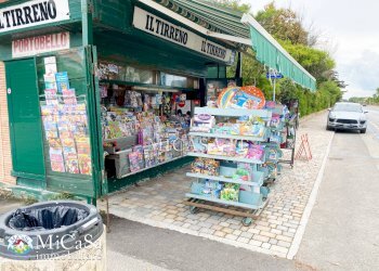 Foto 5 - Attività Commerciale viale del tirreno
 
339, Pisa - foto 5