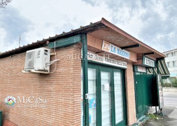 Foto 6 - Attività Commerciale viale del tirreno
 
339, Pisa - foto 6