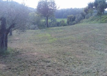 Foto 31 - Villa Ascoli Piceno - photo 31