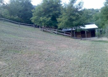 Foto 33 - Villa Ascoli Piceno - photo 33