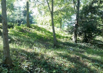 Foto 36 - Villa Ascoli Piceno - photo 36