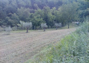 Foto 37 - Villa Ascoli Piceno - photo 37