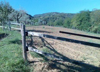 Foto 39 - Villa Ascoli Piceno - photo 39