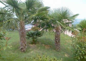 Foto 43 - Villa Ascoli Piceno - photo 43