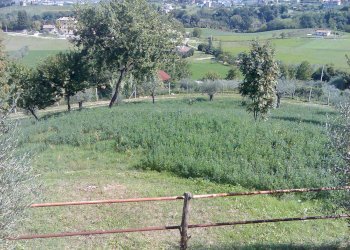 Foto 44 - Villa Ascoli Piceno - photo 44