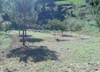 Foto 49 - Villa Ascoli Piceno - photo 49