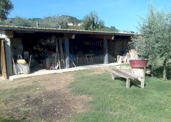 Foto 50 - Villa Ascoli Piceno - photo 50