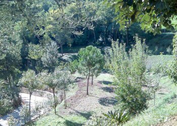 Foto 52 - Villa Ascoli Piceno - photo 52
