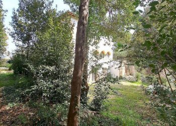 Foto 9 - Villa Ascoli Piceno - foto 9