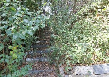 Foto 12 - Villa Ascoli Piceno - foto 12