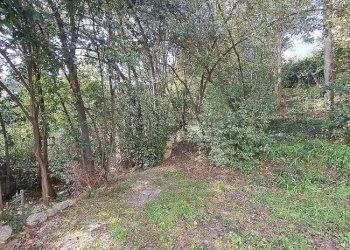 Foto 14 - Villa Ascoli Piceno - foto 14