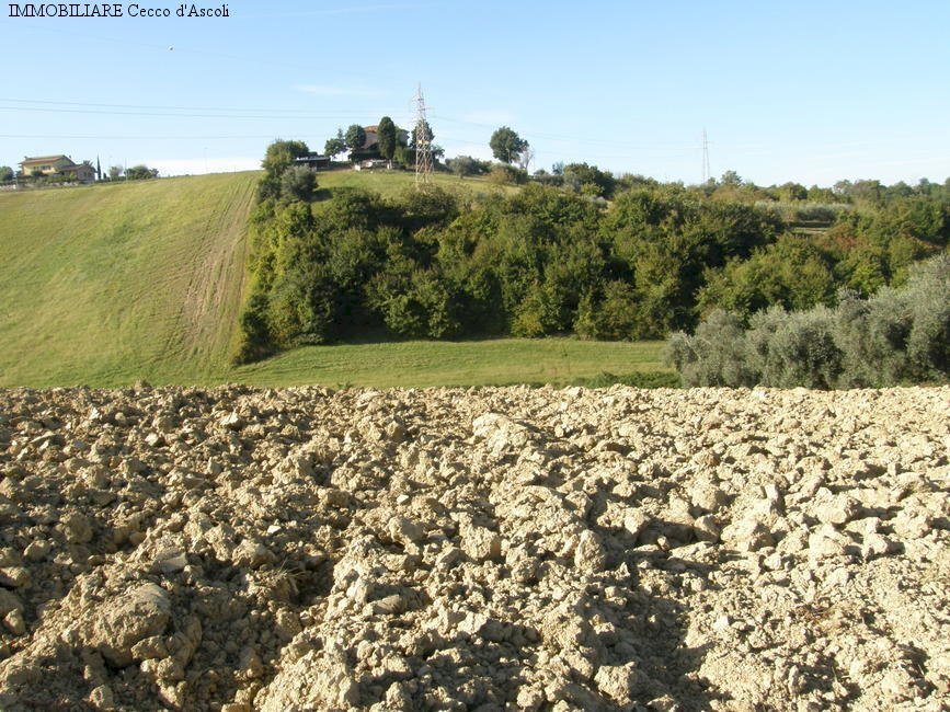 Foto 2 - Agricultural land Monsampolo del Tronto - photo 2