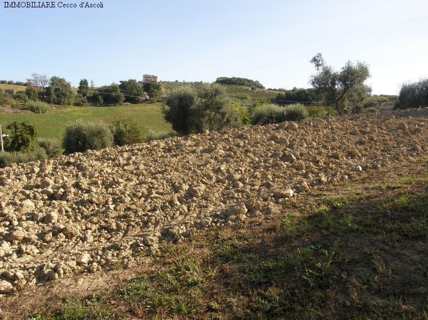 Foto 3 - Agricultural land Monsampolo del Tronto - photo 3