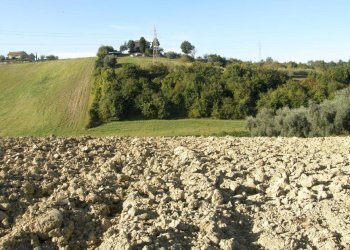 Foto 2 - Terreno agricolo Monsampolo del Tronto - foto 2