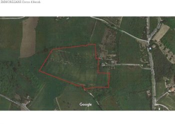 Foto 11 - Terreno agricolo Monsampolo del Tronto - foto 11