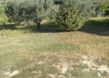 Foto 16 - Rustico Monsampolo del Tronto - foto 16