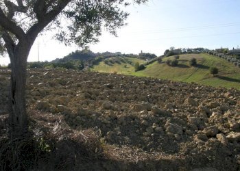 Foto 17 - Rustico Monsampolo del Tronto - foto 17