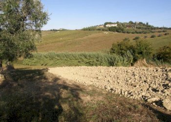 Foto 19 - Rustico Monsampolo del Tronto - foto 19