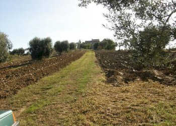 Foto 22 - Rustico Monsampolo del Tronto - foto 22