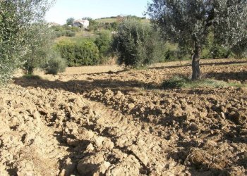 Foto 24 - Rustico Monsampolo del Tronto - foto 24