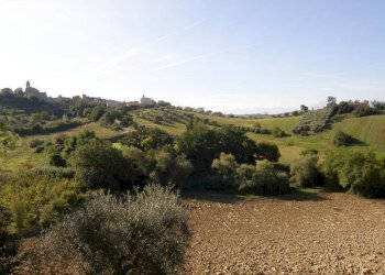 Foto 25 - Rustico Monsampolo del Tronto - foto 25