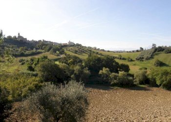 Foto 26 - Rustico Monsampolo del Tronto - foto 26