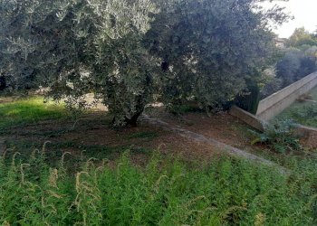 Foto 5 - Villa Ascoli Piceno - foto 5