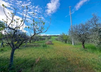 Foto 29 - Appartamento Spinetoli - foto 29