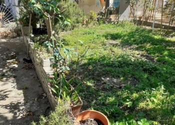 Foto 2 - Appartamento Ascoli Piceno - foto 2