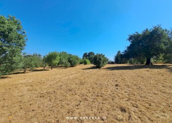 Foto 6 - Casa indipendente Bassano Romano, Bassano Romano - foto 6