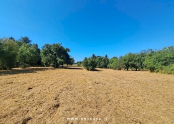 Foto 8 - Casa indipendente Bassano Romano, Bassano Romano - foto 8