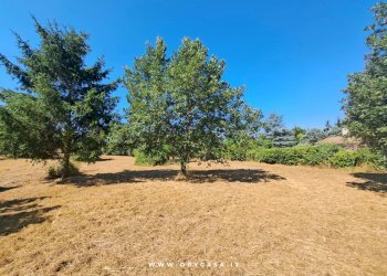 Foto 9 - Casa indipendente Bassano Romano, Bassano Romano - foto 9