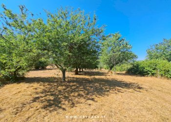 Foto 11 - Casa indipendente Bassano Romano, Bassano Romano - foto 11