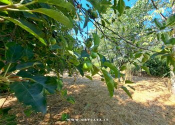 Foto 12 - Casa indipendente Bassano Romano, Bassano Romano - foto 12