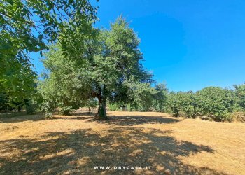 Foto 13 - Casa indipendente Bassano Romano, Bassano Romano - foto 13