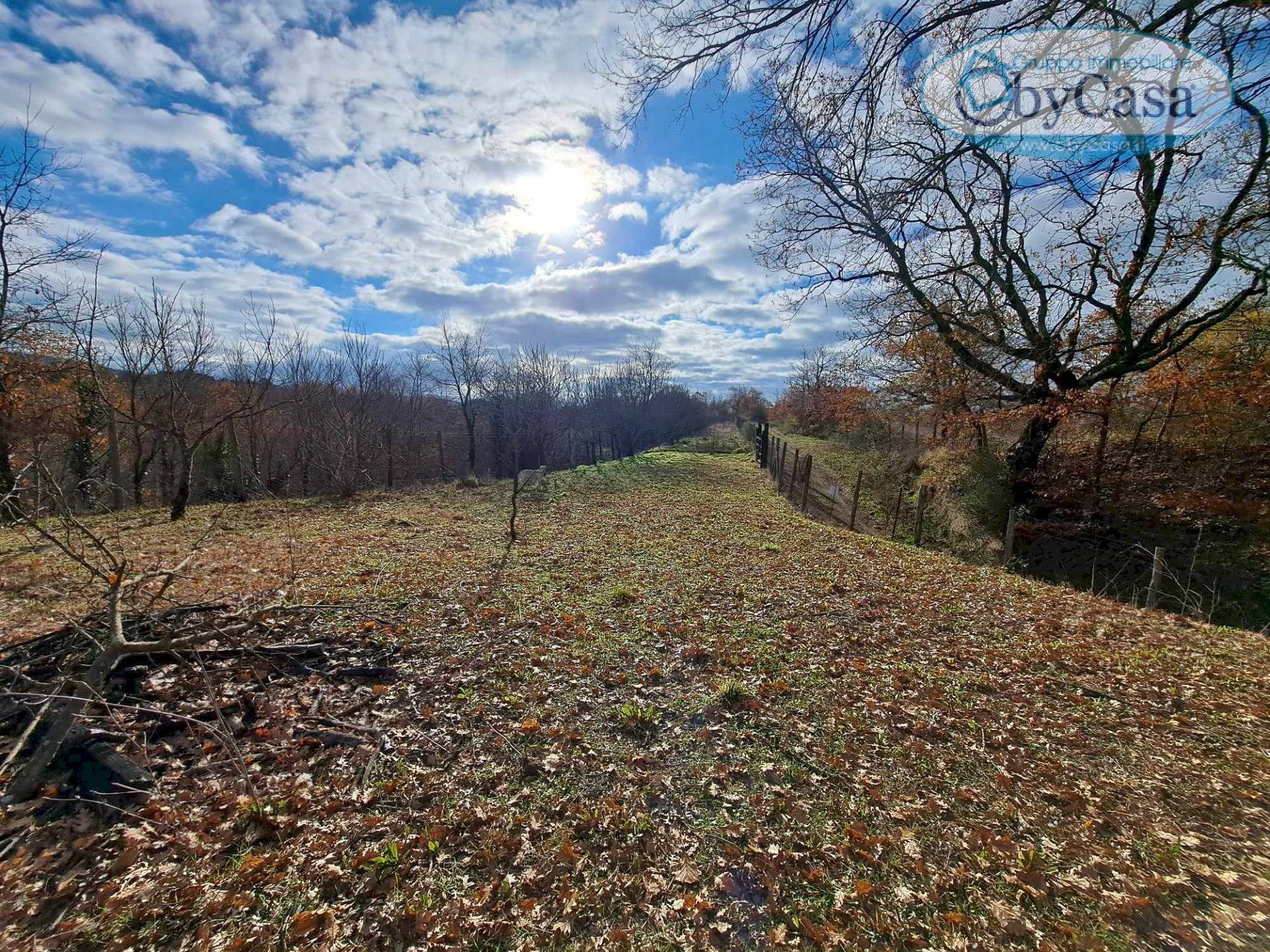 Foto 3 - Terreno agricolo Oriolo Romano, Oriolo Romano - foto 3