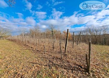 Foto 1 - Terreno agricolo Oriolo Romano, Oriolo Romano - foto 1