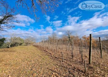 Foto 2 - Terreno agricolo Oriolo Romano, Oriolo Romano - foto 2