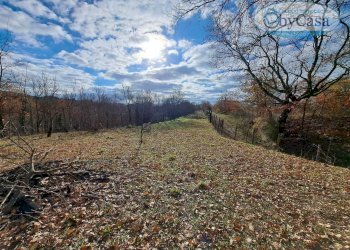 Foto 3 - Terreno agricolo Oriolo Romano, Oriolo Romano - foto 3