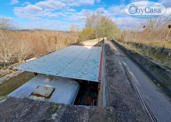 Foto 7 - Terreno agricolo Oriolo Romano, Oriolo Romano - foto 7