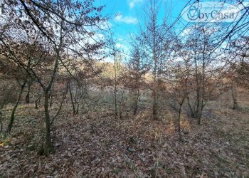 Foto 8 - Terreno agricolo Oriolo Romano, Oriolo Romano - foto 8