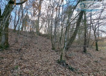 Foto 9 - Terreno agricolo Oriolo Romano, Oriolo Romano - foto 9