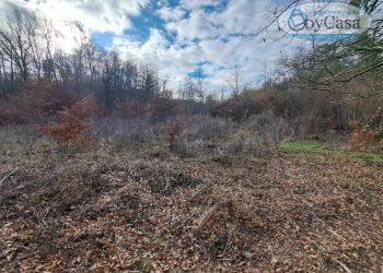 Foto 10 - Terreno agricolo Oriolo Romano, Oriolo Romano - foto 10